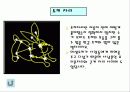 컴퓨터응용실무：별자리백과사전 21페이지