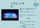 컴퓨터응용실무：세계 여러나라의 축제 (이야기나누기 자료) 8페이지