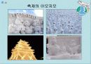 컴퓨터응용실무：세계 여러나라의 축제 (이야기나누기 자료) 9페이지