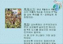 컴퓨터응용실무：세계 여러나라의 축제 (이야기나누기 자료) 12페이지