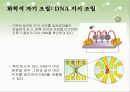 자기조립a 28페이지