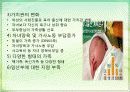 한국의 인구와 고용 12페이지