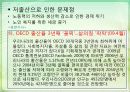 한국의 인구와 고용 13페이지