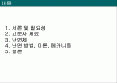 난연프레젠테이션 2페이지