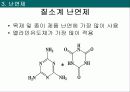 난연프레젠테이션 18페이지