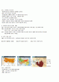 영남대 인터넷강의 이정희 교수님의 다큐멘터리로 본 서양사 중간고사 자료 31페이지