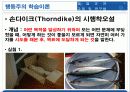 실기교육 방법론 2장 학습이론의 이해 5페이지
