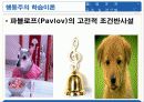 실기교육 방법론 2장 학습이론의 이해 11페이지