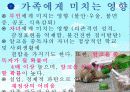 알코올 중독 예방교육 14페이지