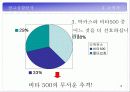 박카스D 광고기획서 16페이지