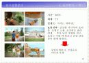 박카스D 광고기획서 18페이지