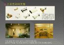 빛과 건축조명(건축과의 관계) 16페이지