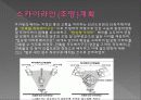 도시경관사례 판교신도시 10페이지