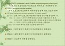 마이크로 프로세서를 이용하여 LED제어 회로를 구성하 10페이지