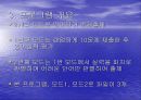 지능제어 텀프로젝트(매트랩을 이용한 퍼지 영어단어 학습기) 5페이지