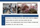 기업지배구조의 이해 및 사례분석 34페이지