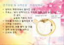 외상성손상시 응급처치 5페이지