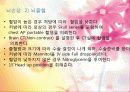 외상성손상시 응급처치 33페이지