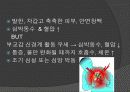 흉통 및 심정지시의 응급처치 8페이지