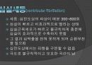 흉통 및 심정지시의 응급처치 37페이지