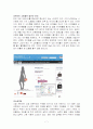 sns가 전자상거래에 미치는 영향분석 9페이지