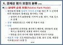 프로젝트 관리 및 평가모형 10페이지