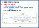 프로젝트 관리 및 평가모형 30페이지