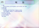 간호학생의 스트레스와 스트레스 대처방법에 관한 연구 2페이지