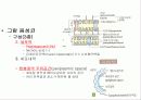 원핵생물의 구조와 기능 4페이지