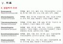 정신분열병 28페이지