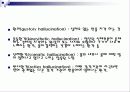 이상행동의 종류와 간호사례 8페이지