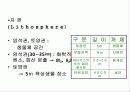환경과 인간 10페이지