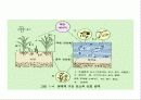 환경과 인간 15페이지