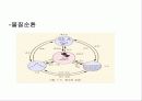 환경과 인간 18페이지