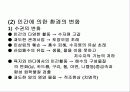 환경과 인간 5페이지
