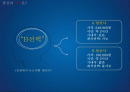 제주항공 내부환경 및 마케팅 분석 및 개선방안 2페이지