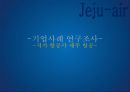 제주항공 내부환경 및 마케팅 분석 및 개선방안 3페이지