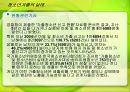 청소년가출ppt 29페이지