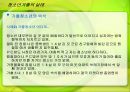 청소년가출ppt 31페이지