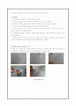 일반생물학/미생물학/효모의 관찰 17페이지
