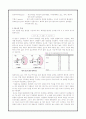 일반생물학/미생물학/효소 4페이지