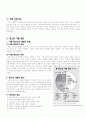 청소년 가출 보고서 3페이지