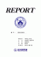 SWOT분석 롤모델비교 1페이지