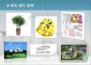 인적자원관리 복리후생 삼성 vs 웅진 23페이지