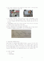 3농산쌀레포트3최종한자-쌀의도정도와신선도판별법실험 9페이지