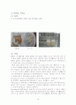 3농산쌀레포트3최종한자-쌀의도정도와신선도판별법실험 19페이지