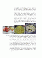 젬젤리제조 레포트 한글 9페이지