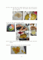 젬젤리제조 레포트 한글 16페이지