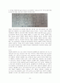 젬젤리제조 레포트 한글 22페이지
