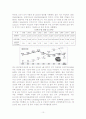 김치의 세계화-8차 한글 10페이지